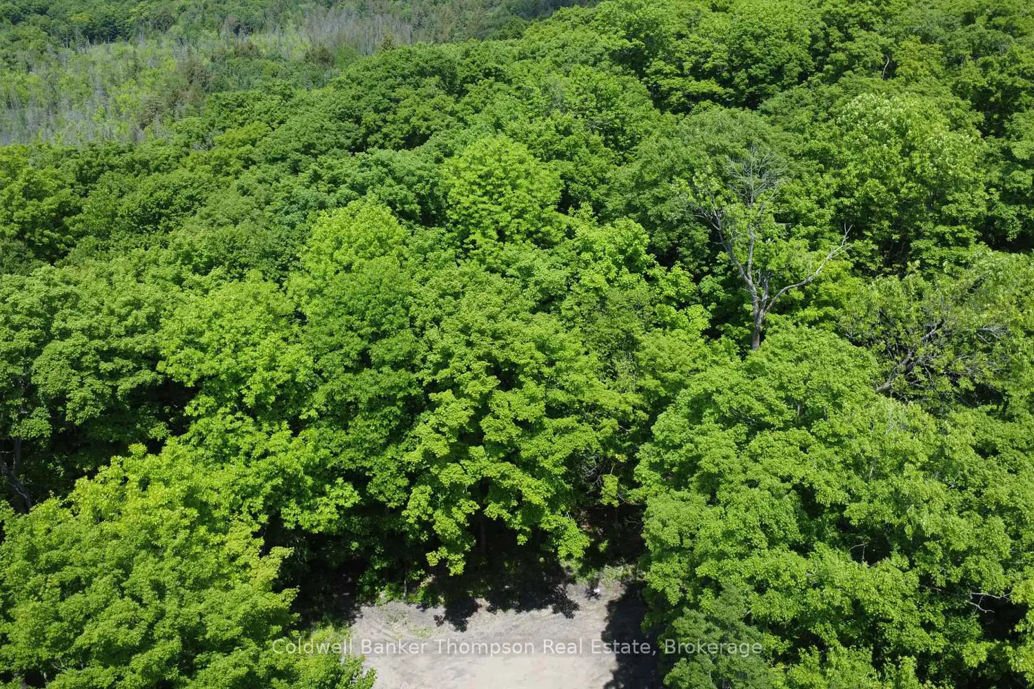 Additional image 13 of 265 Sharon Drive