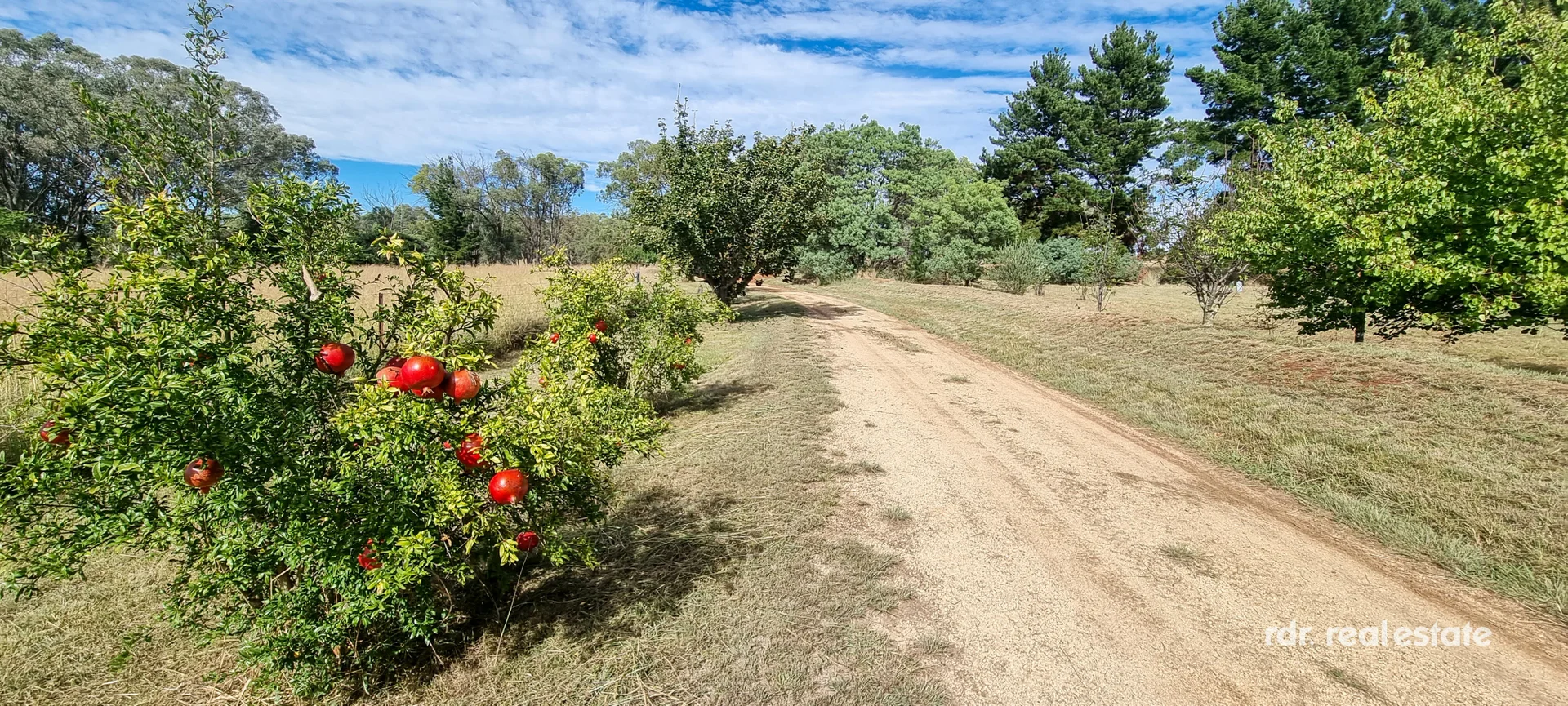 Additional image 16 of 345 Copeton Dam Road, Inverell NSW 2360