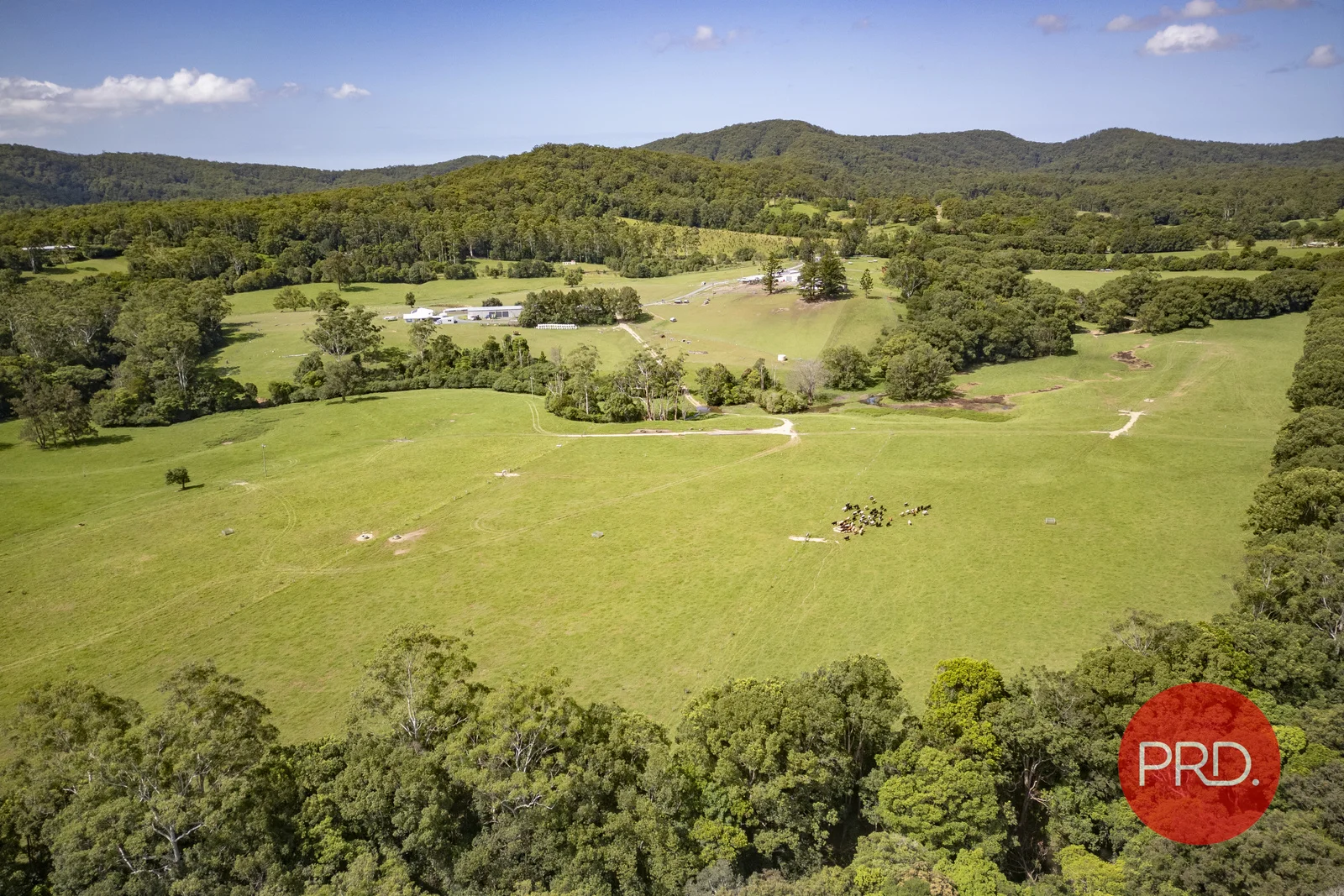 Additional image 21 of 441 Eastbank Road, Coramba NSW 2450