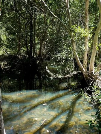 Additional image 3 of Lot 123 Two Chain Road, Koah QLD 4881