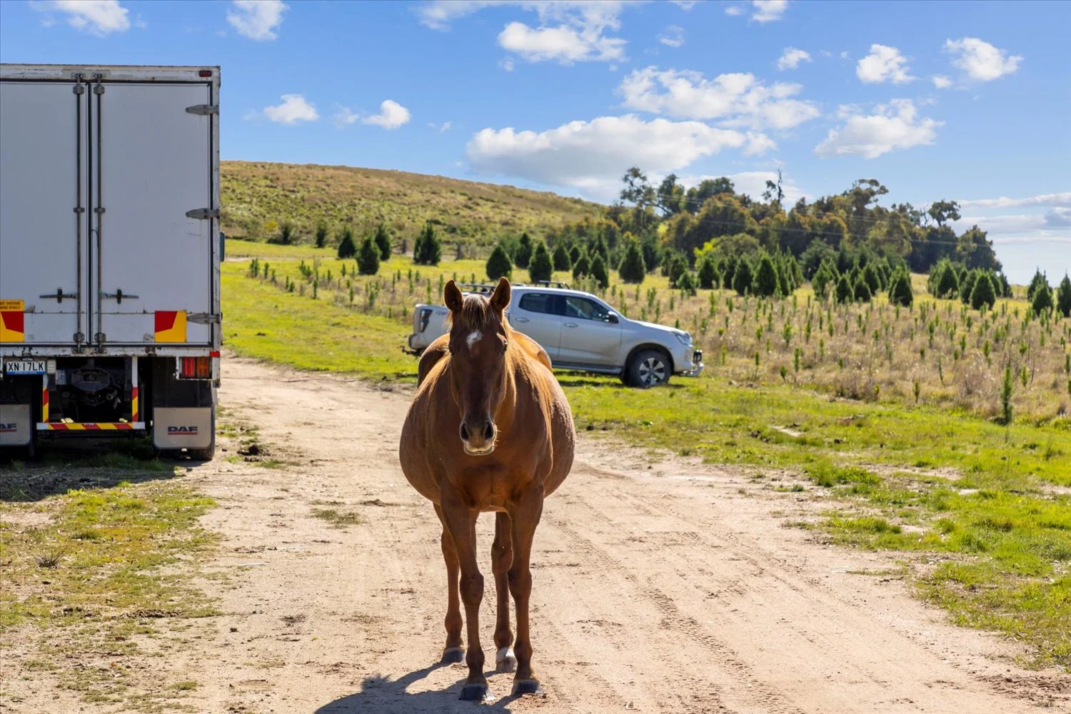 Additional image 27 of 134 Lakeview Road, Tarago NSW 2580