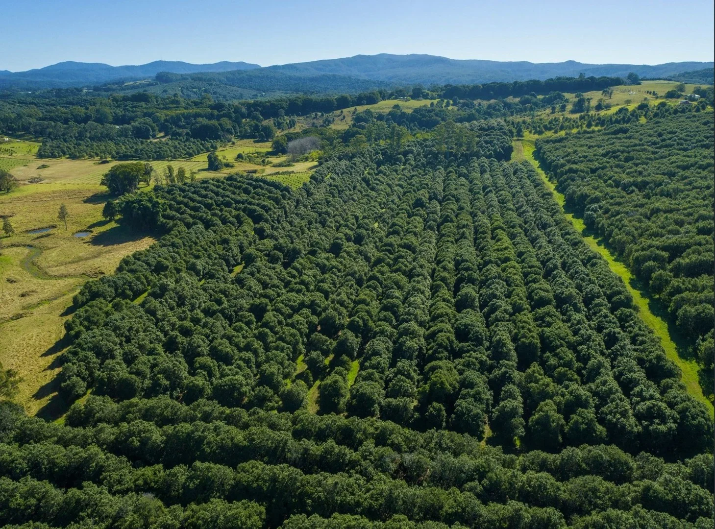 Additional image 4 of 1808 Dunoon Road, Dunoon NSW 2480