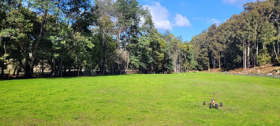 Additional image 7 of 229 Melrose Road, Aberdeen TAS 7310