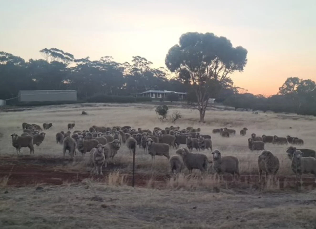 Additional image 59 of 9 Morris Edwards Drive, York WA 6302