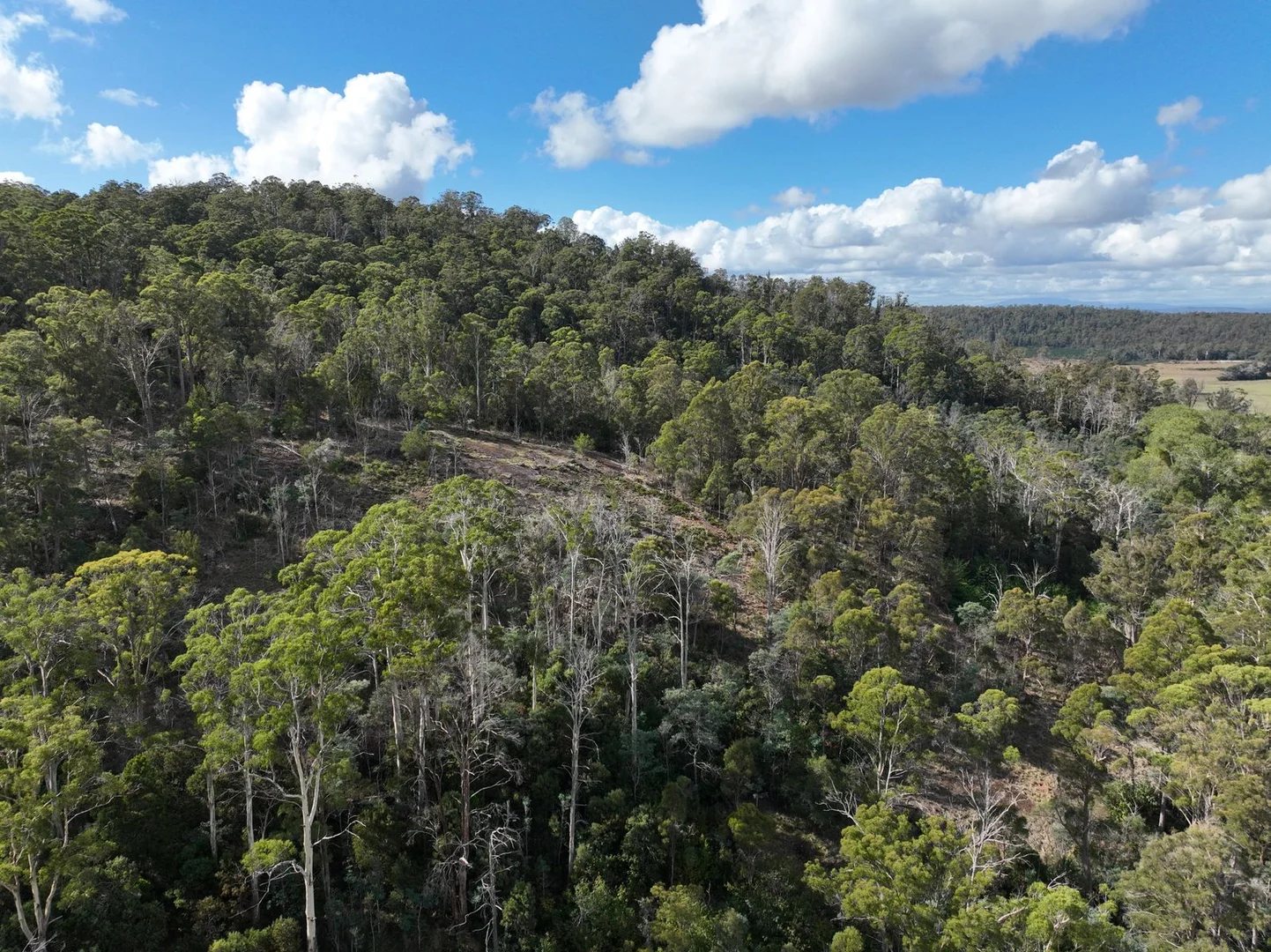 Additional image 13 of Part of 190 Porters Bridge Road, Exton TAS 7303