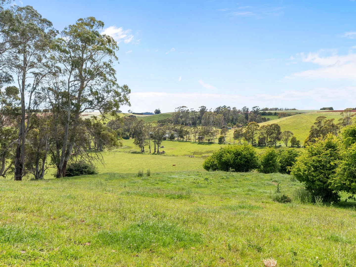 Additional image 29 of 69 Meads Road, Melrose TAS 7310