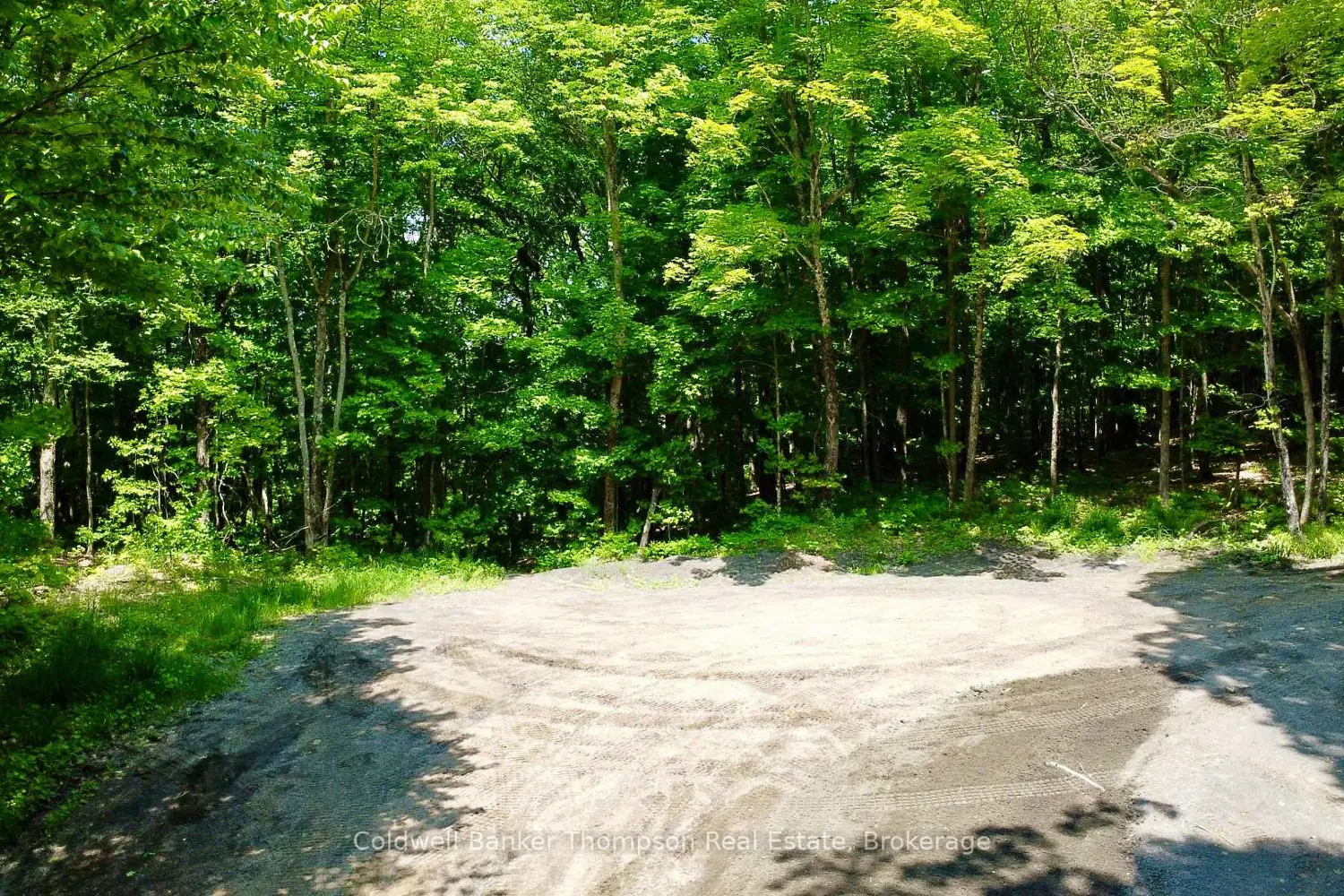 Additional image 11 of 265 Sharon Drive