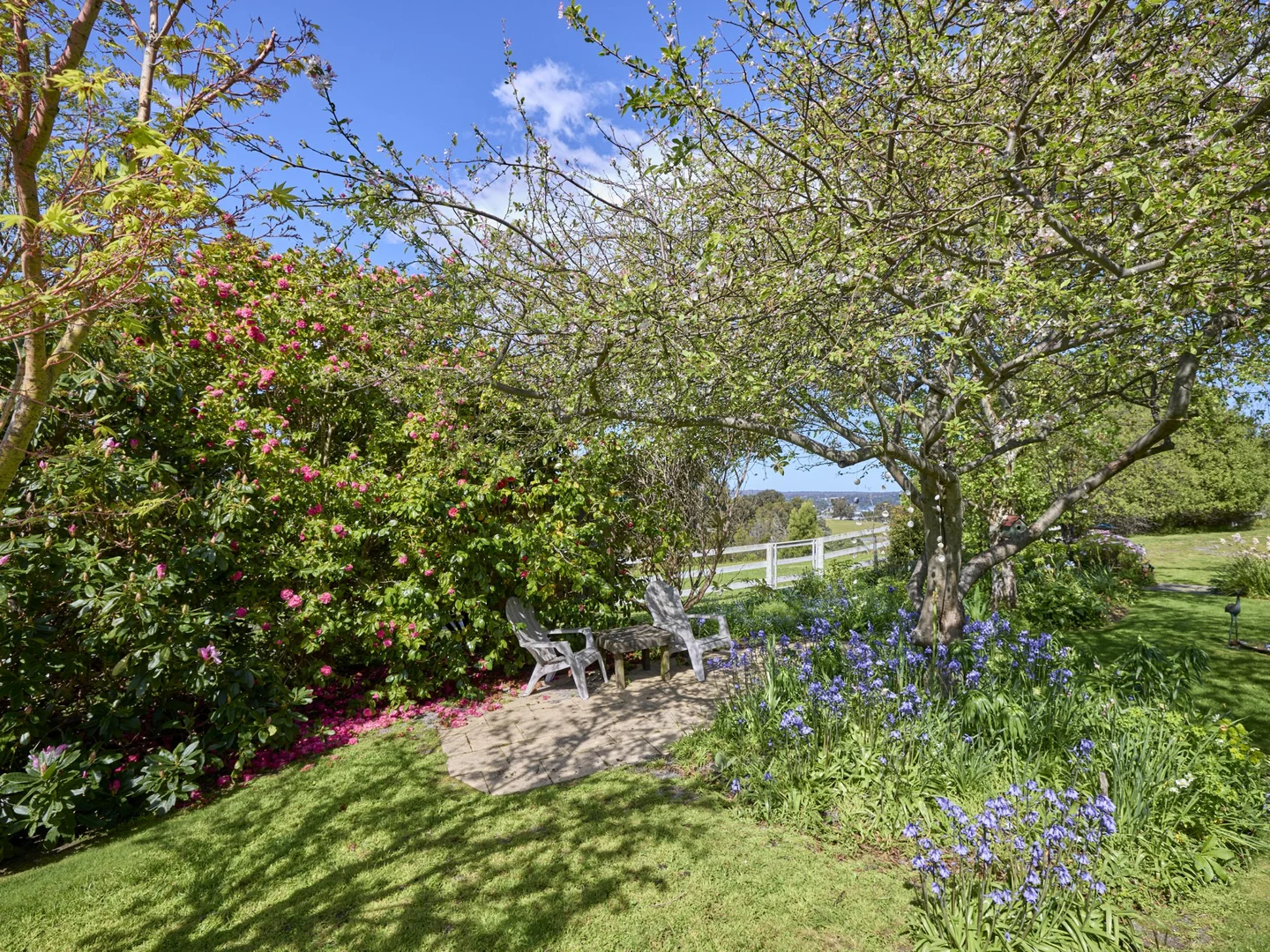 Additional image 21 of 25598 Tasman Highway, St Helens TAS 7216