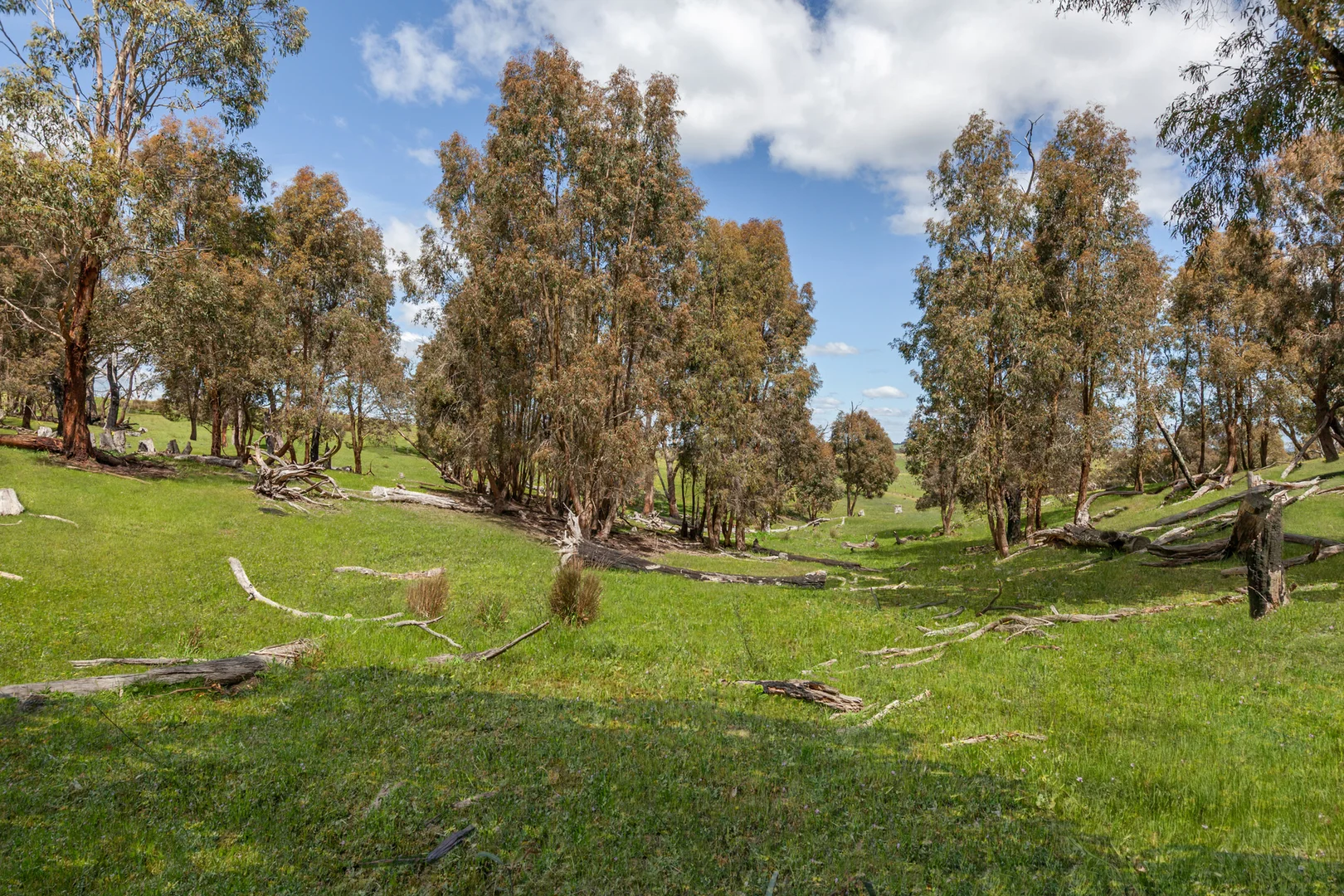 Additional image 11 of 35, 35A, 42 & 42A Romsey Road, Chintin VIC 3756