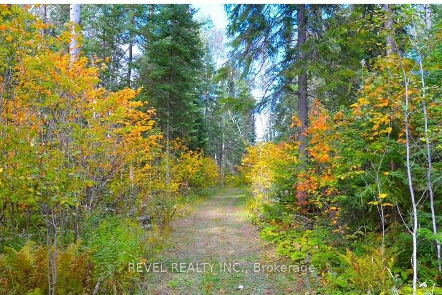 Additional image 6 of Pcl 7714 Retreat Road