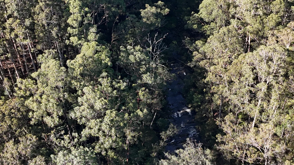 Additional image 10 of 318 Old Ocean Road, Glenaire VIC 3238