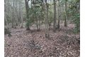 Additional image 20 of Old Bradley Rd, Mardela Springs, MD, 21837