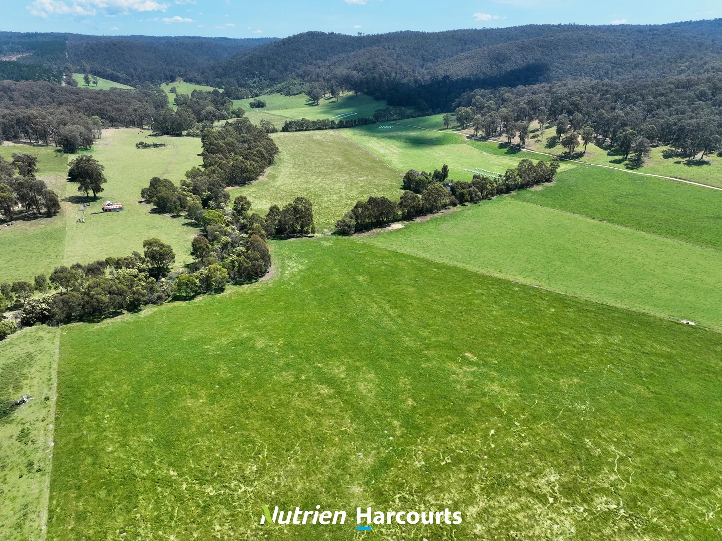 Additional image 8 of 111 Old Walhalla Road, Toongabbie VIC 3856