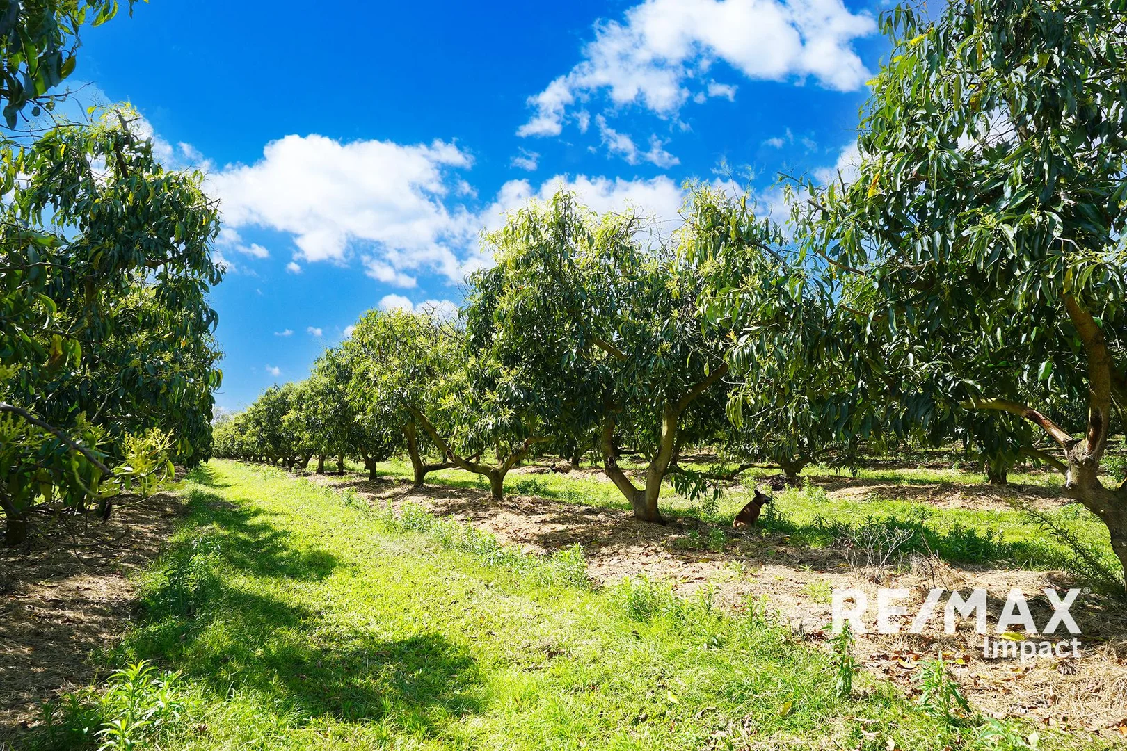 Additional image 7 of 44 Carman Road, Paddys Green QLD 4880