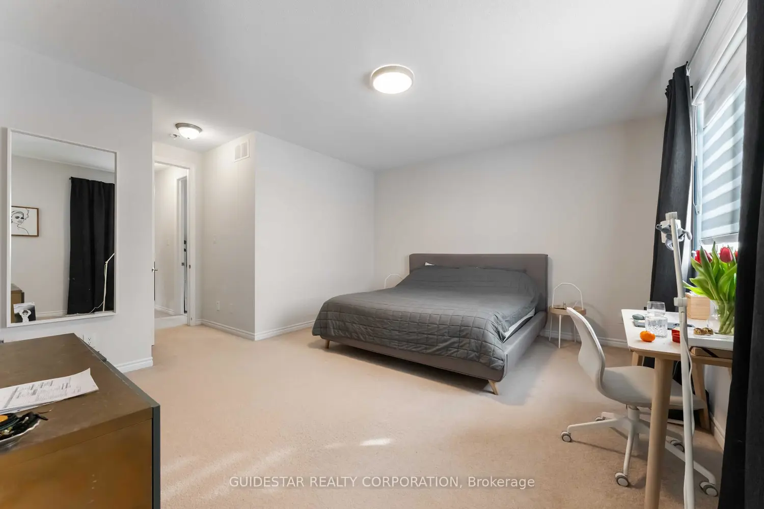 Additional image 11 of 30 Oxalis Crescent