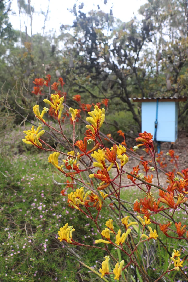 Additional image 20 of 65 Gardiners Road, Barongarook VIC 3249