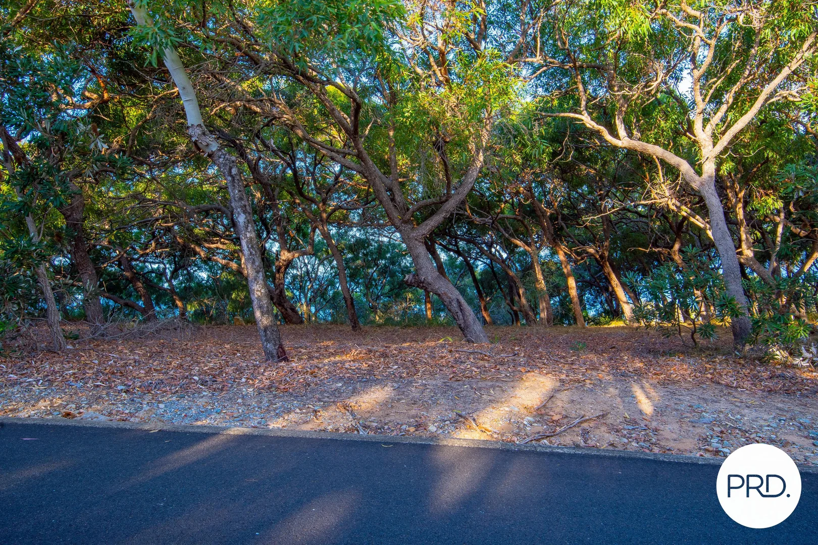 Additional image 23 of 127 Sunbird Avenue, Agnes Water QLD 4677