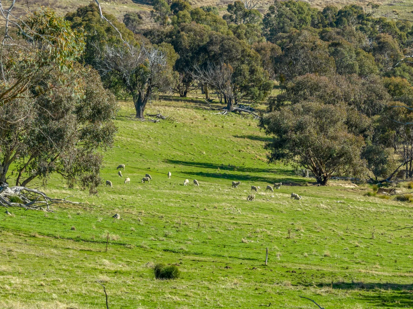 Additional image 7 of 2306 Bigga Road, Bigga NSW 2583