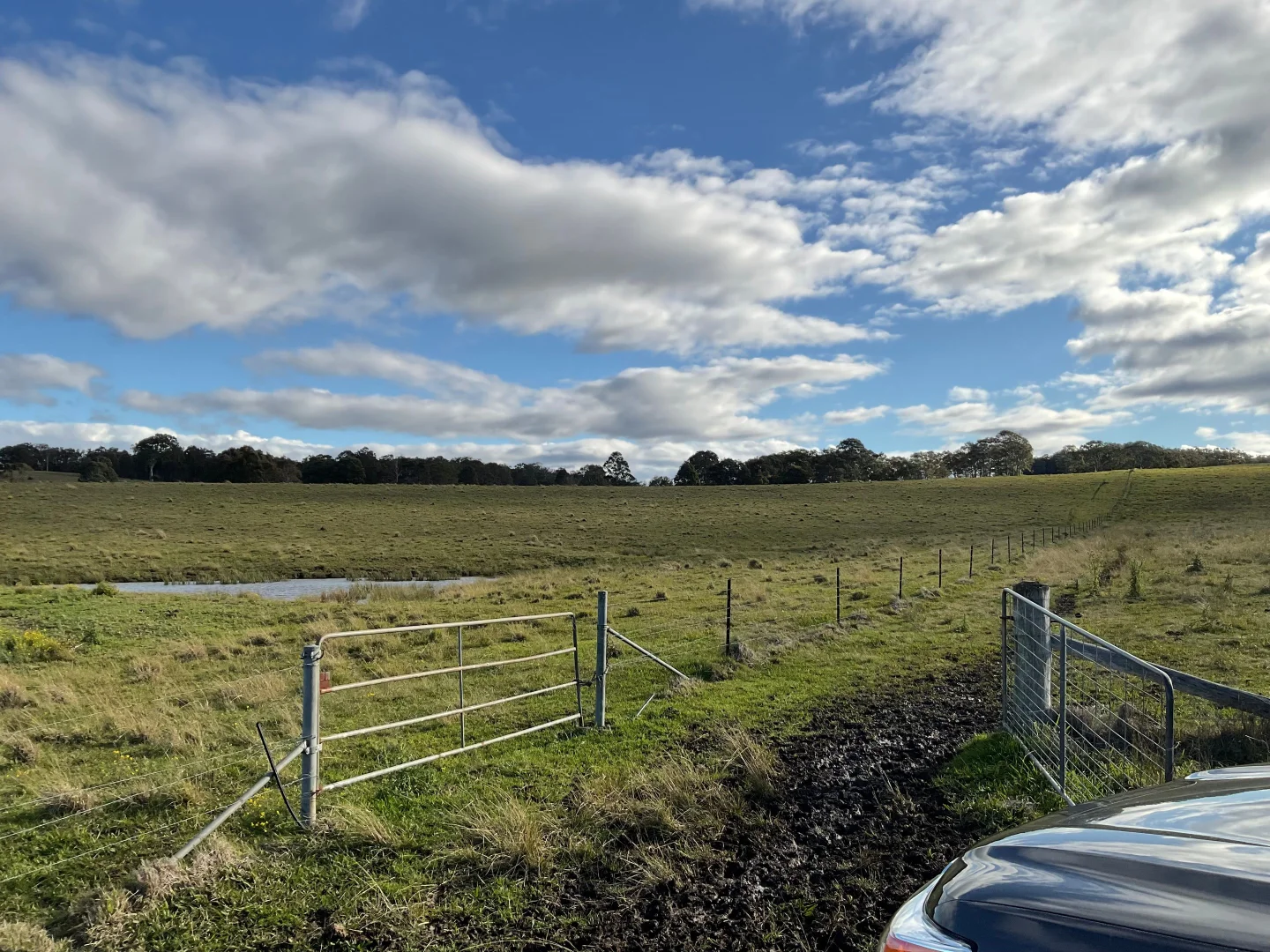 Additional image 3 of Anambah NSW 2320