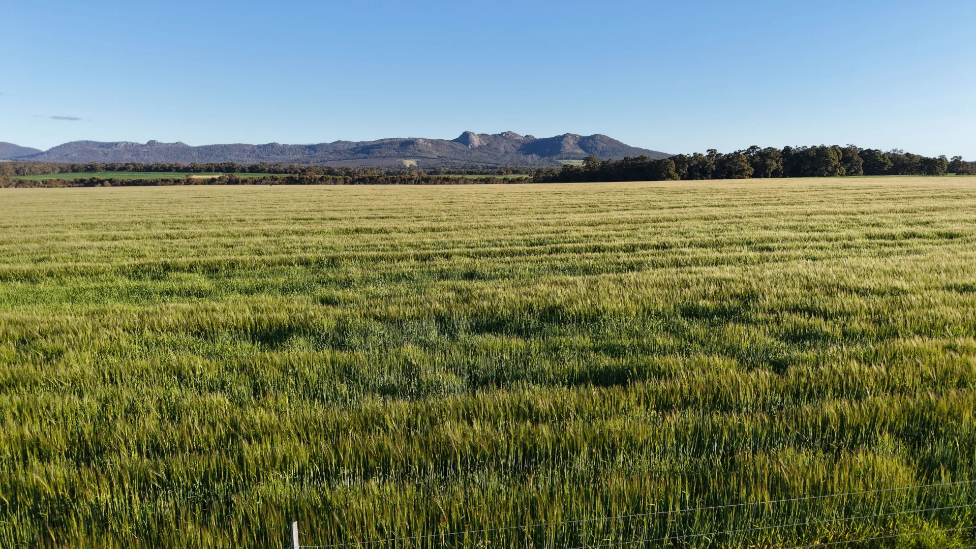 Additional image 14 of 491 Knight Road, Porongurup WA 6324