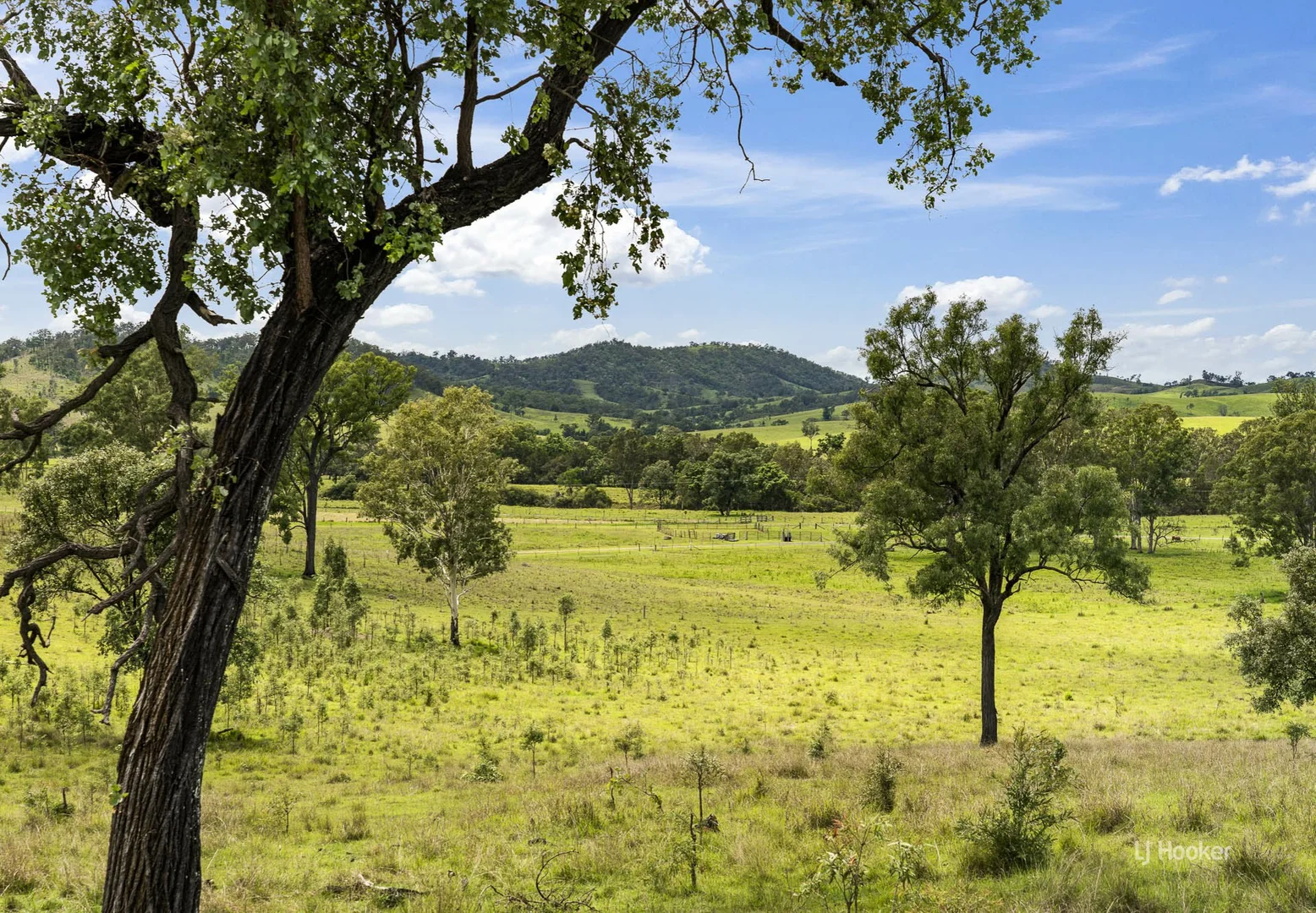 Additional image 9 of 599 Spring Creek Road, Harlin QLD 4314