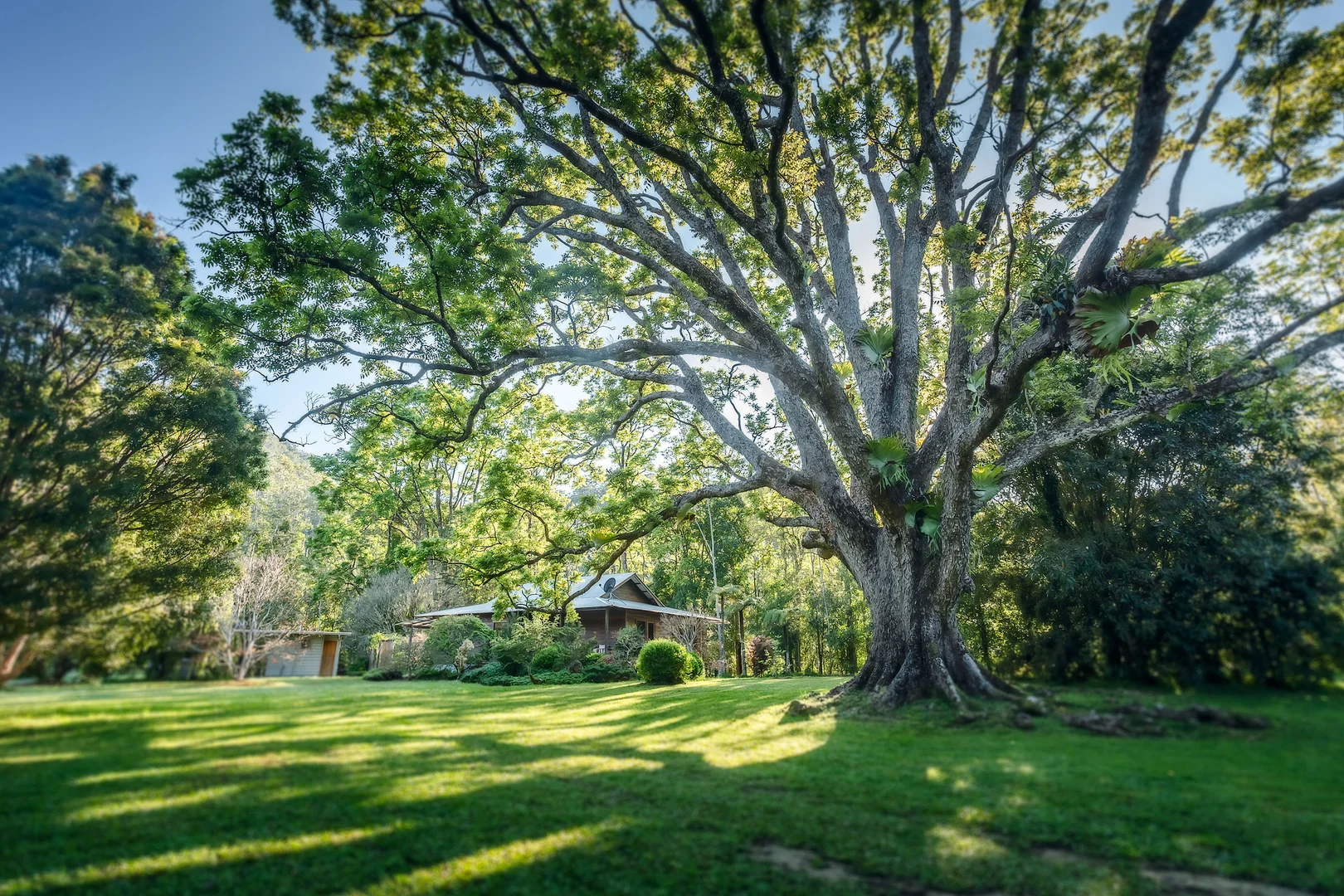 Additional image 20 of 1458 Darkwood Road, Bellingen NSW 2454