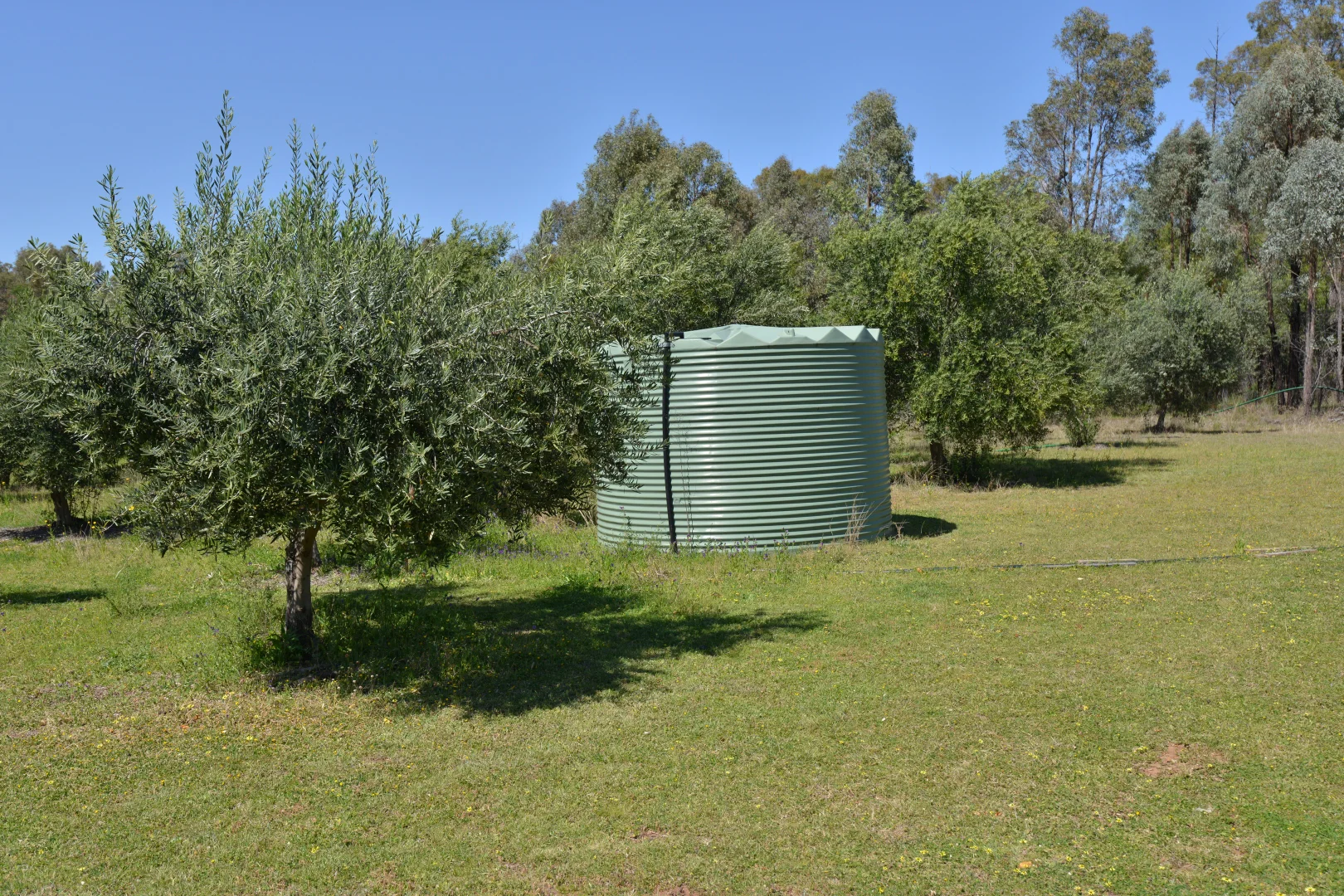 Additional image 19 of 20 Kurrajong Road, Coonabarabran NSW 2357