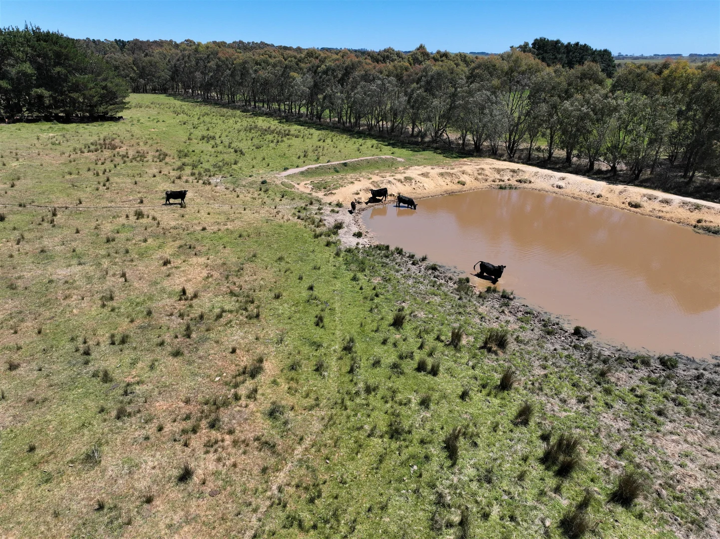 Additional image 21 of Lot 1 Mount Rae Road, Roslyn, Crookwell NSW 2583