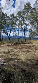 Additional image 14 of 524 Plains Station Road, Tabulam NSW 2469