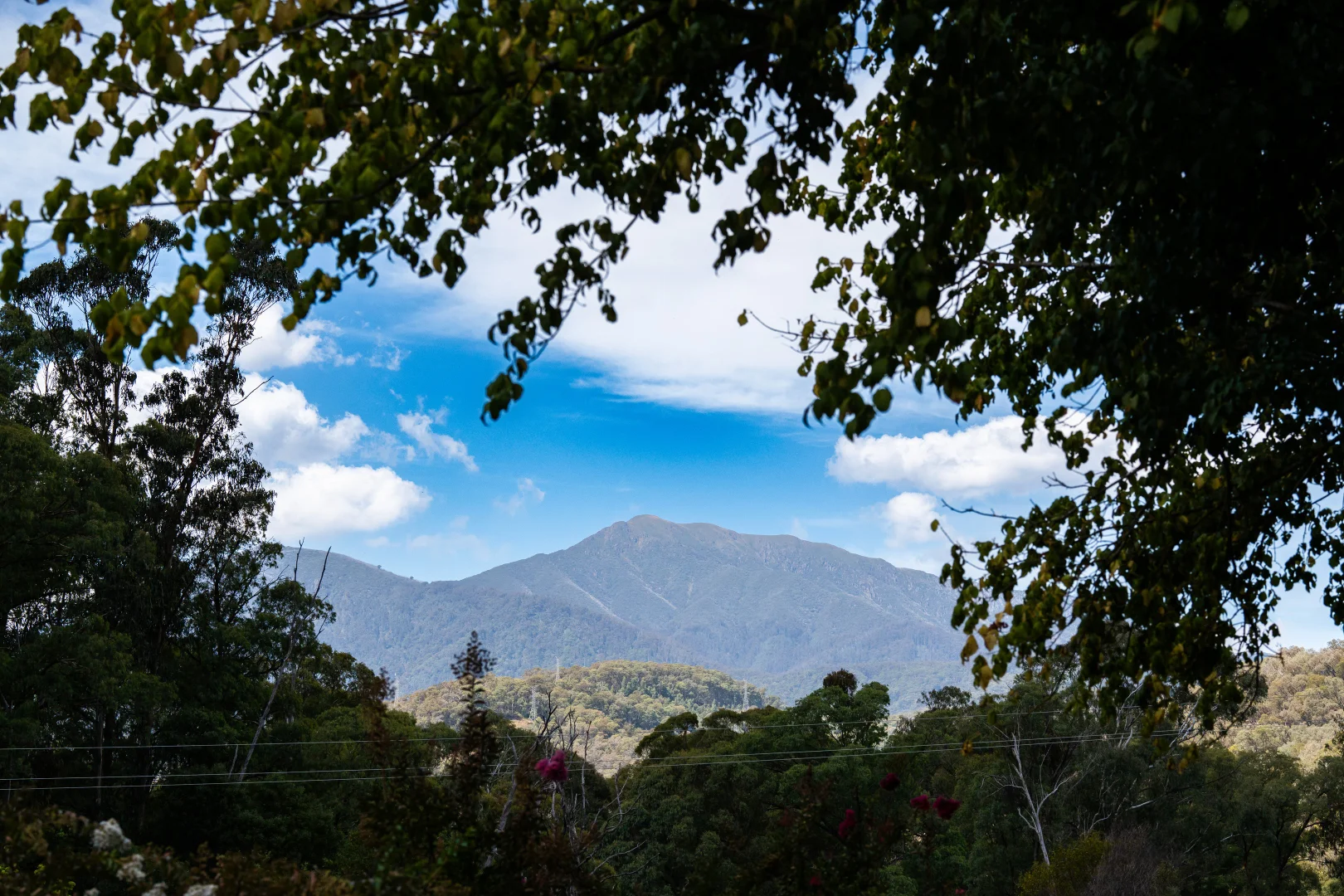 Additional image 12 of 217a Simmonds Creek Road, Tawonga South VIC 3698