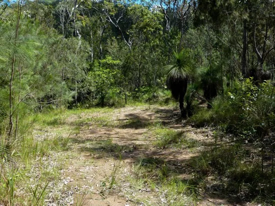 Additional image 20 of Lot 123 Two Chain Road, Koah QLD 4881