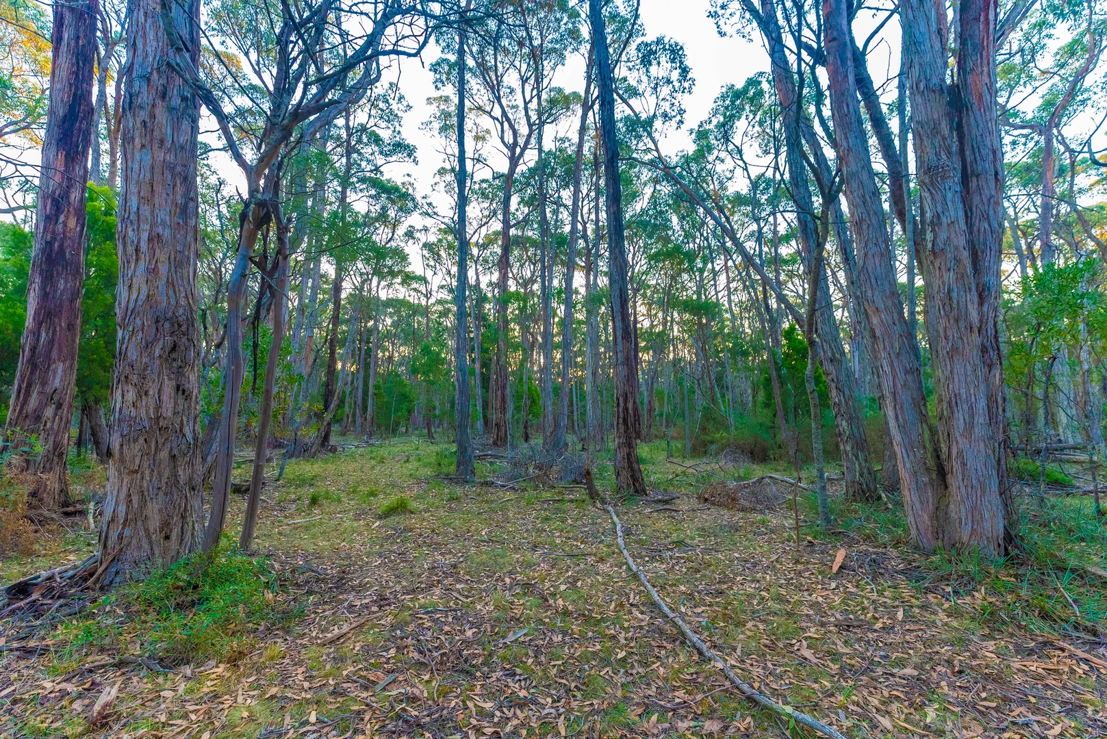Additional image 8 of Lot 5 Howlett Road, Ross Creek VIC 3351
