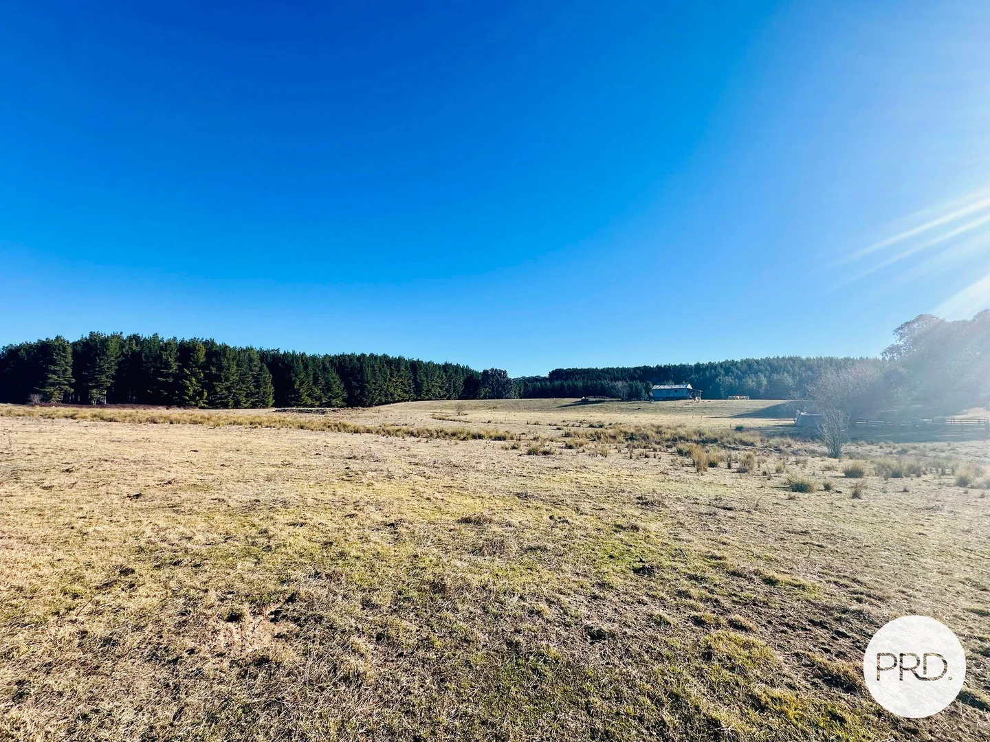 Additional image 33 of 233 Logans Road, Tumbarumba NSW 2653