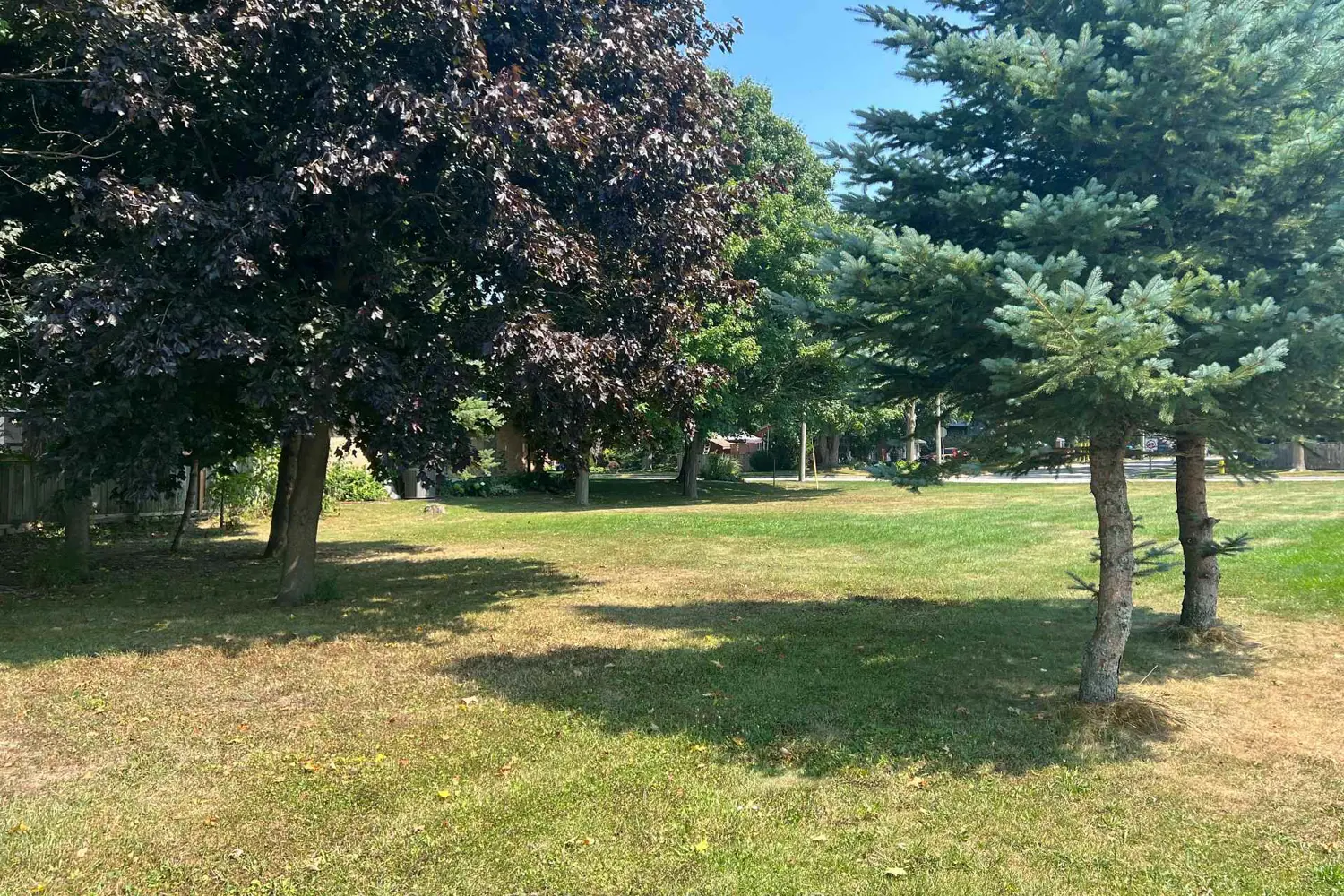 Additional image 6 of 173 1/2 Stanley Street