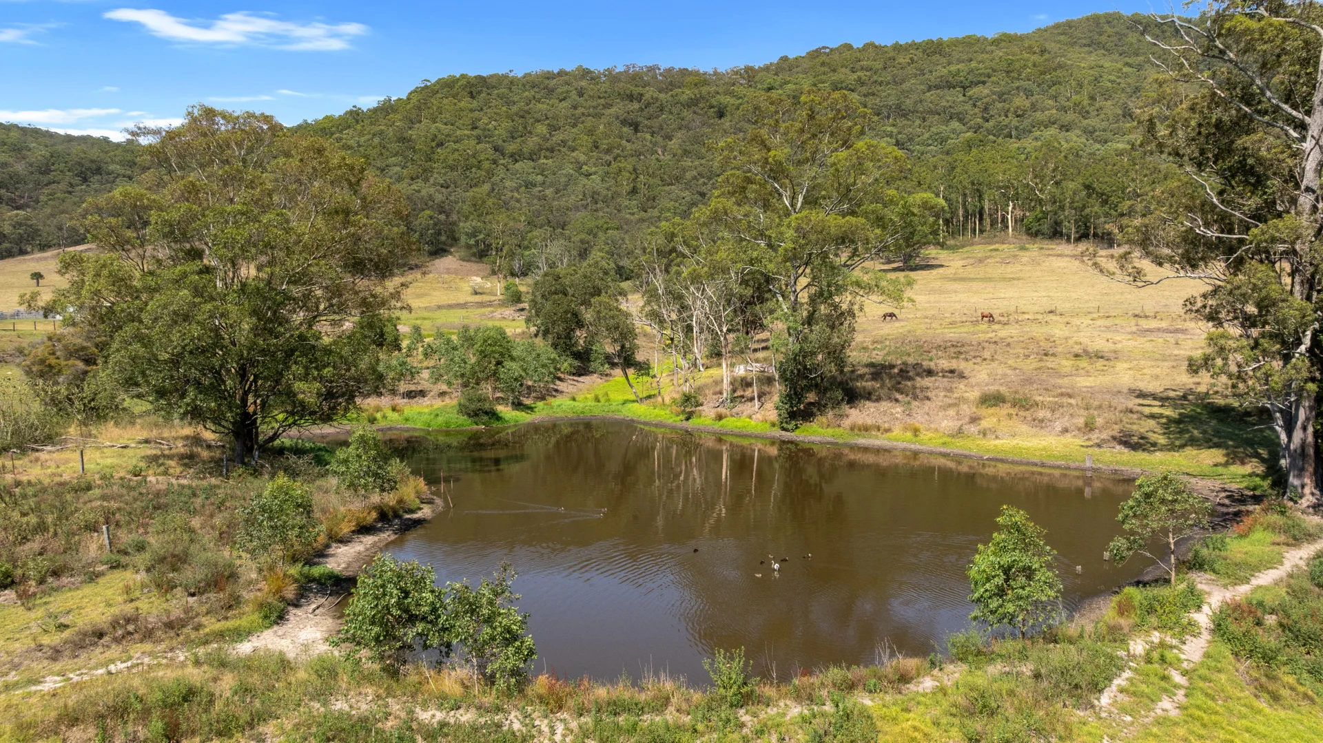 Additional image 21 of 341 Gresford Road, Paterson NSW 2421