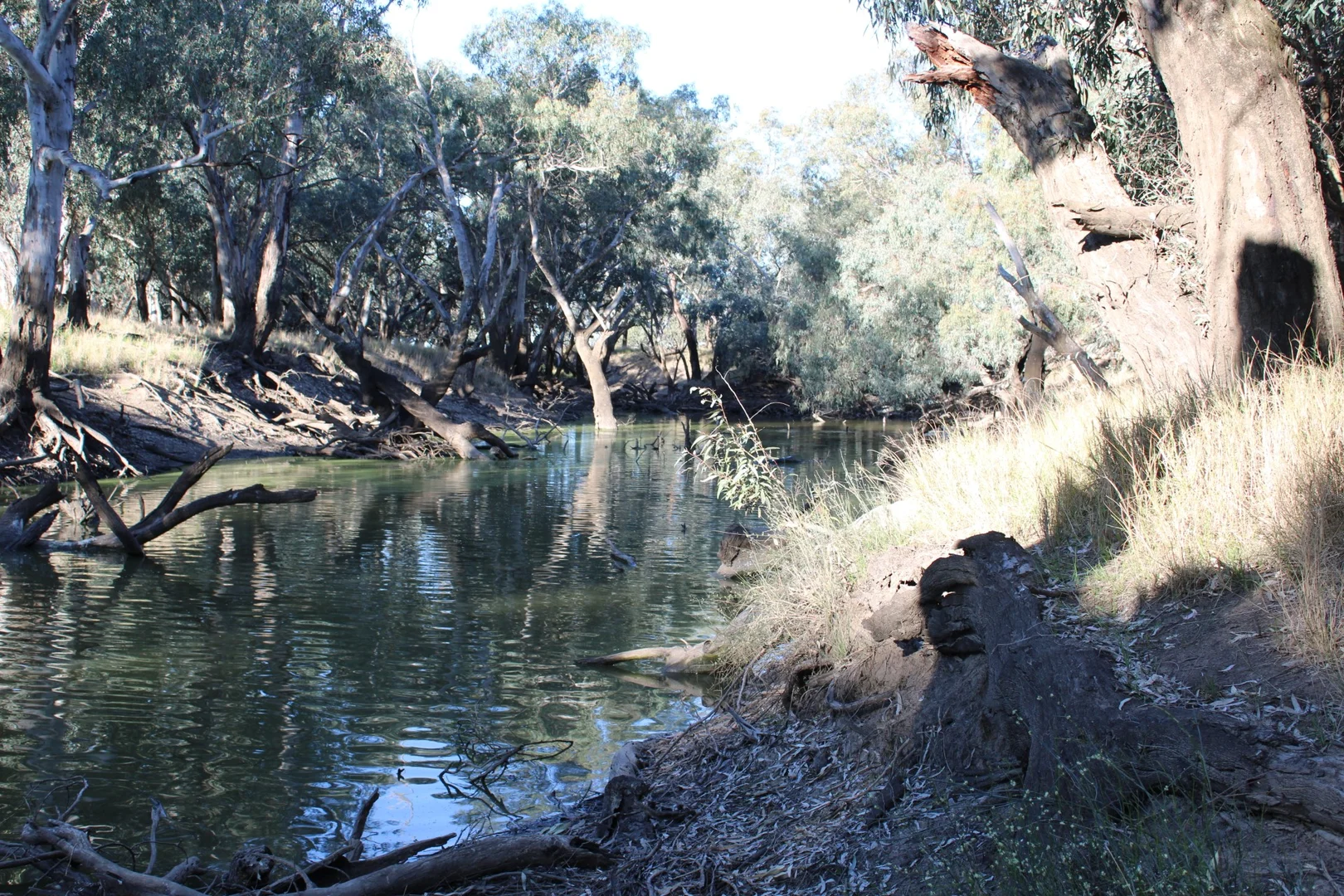 Additional image 28 of 362 Morangarell Road, West Wyalong NSW 2671