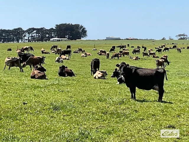 Dawkins Road, Lileah TAS 7330