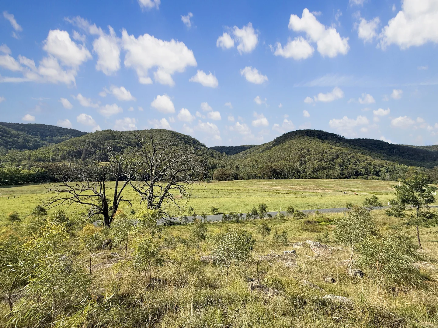 Additional image 7 of Lot 6 Paynes Crossing Rd, Paynes Crossing NSW 2325