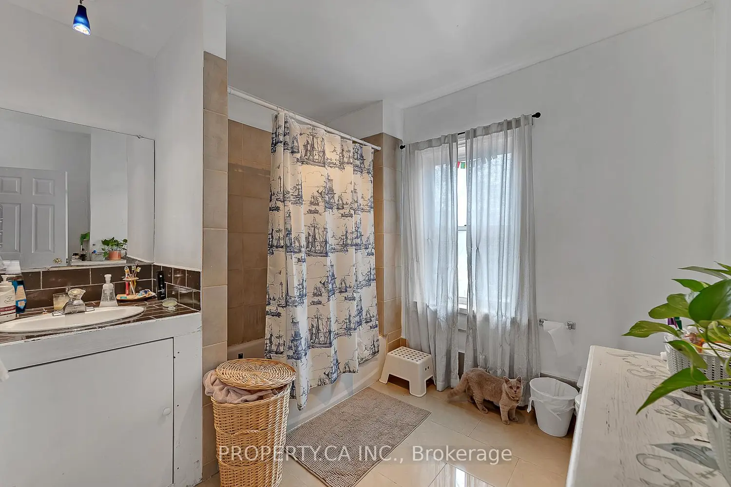 Additional image 17 of 258 Brunswick Avenue