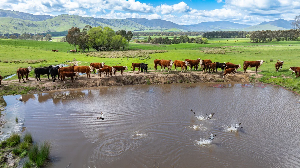 Additional image 6 of 2 Hibbersons Road, Tallangatta South VIC 3701