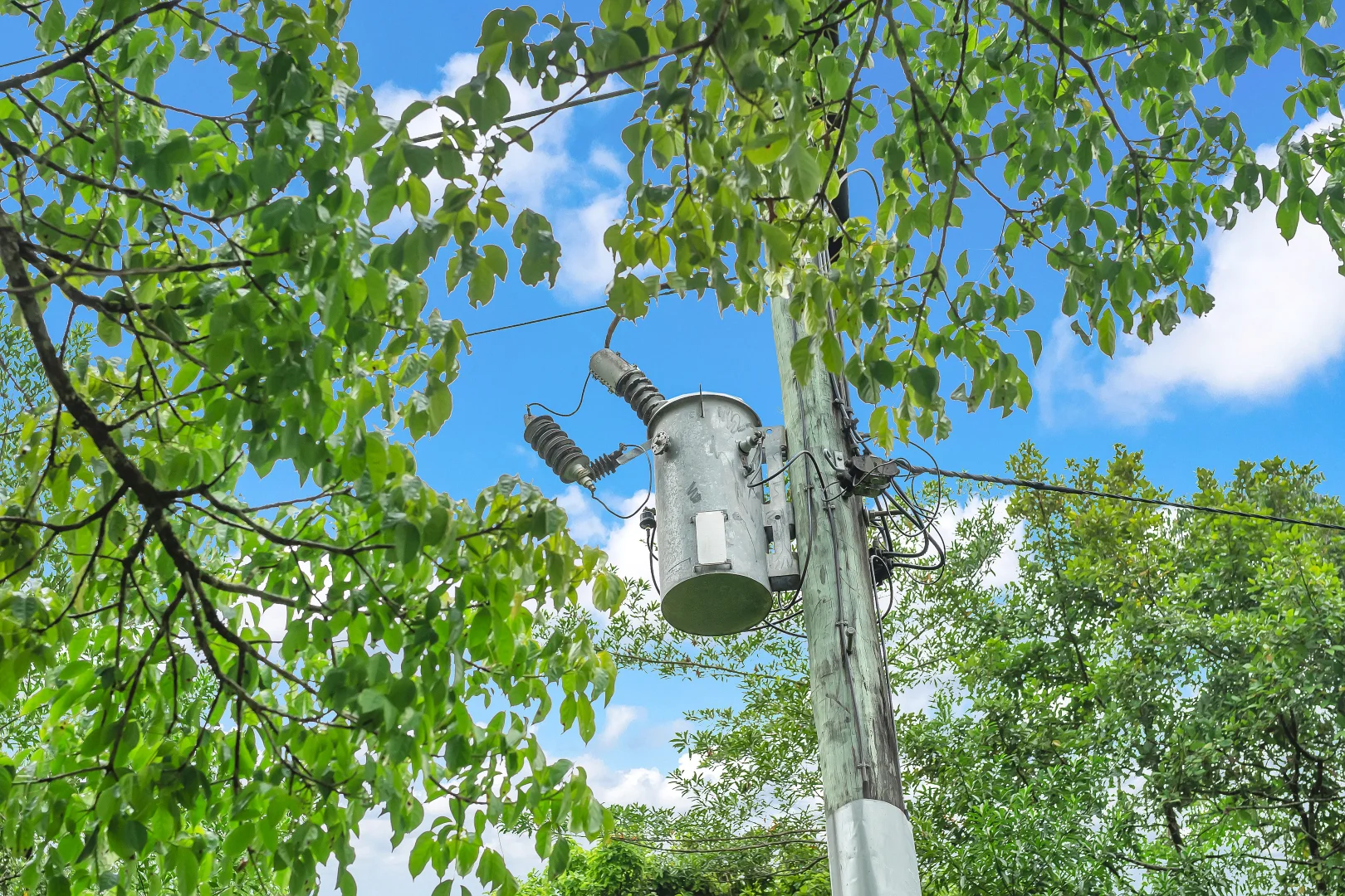 Additional image 30 of 516 Brooks Road, Mungalli QLD 4886