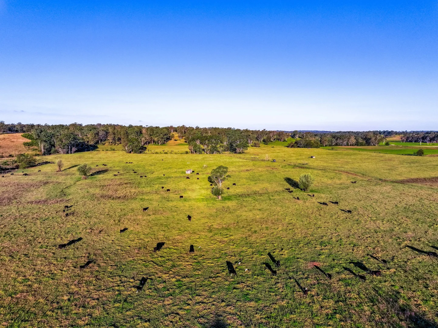 Additional image 15 of 1300 Greendale Road, Wallacia NSW 2745