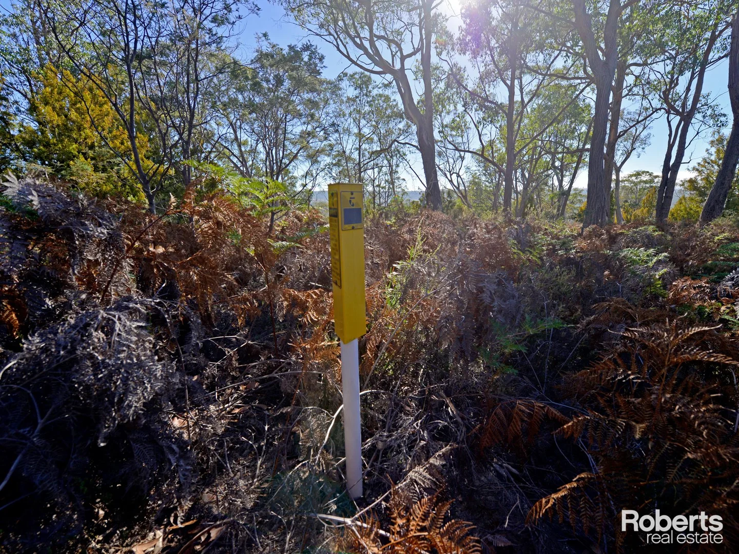 Additional image 13 of Fentonbury TAS 7140