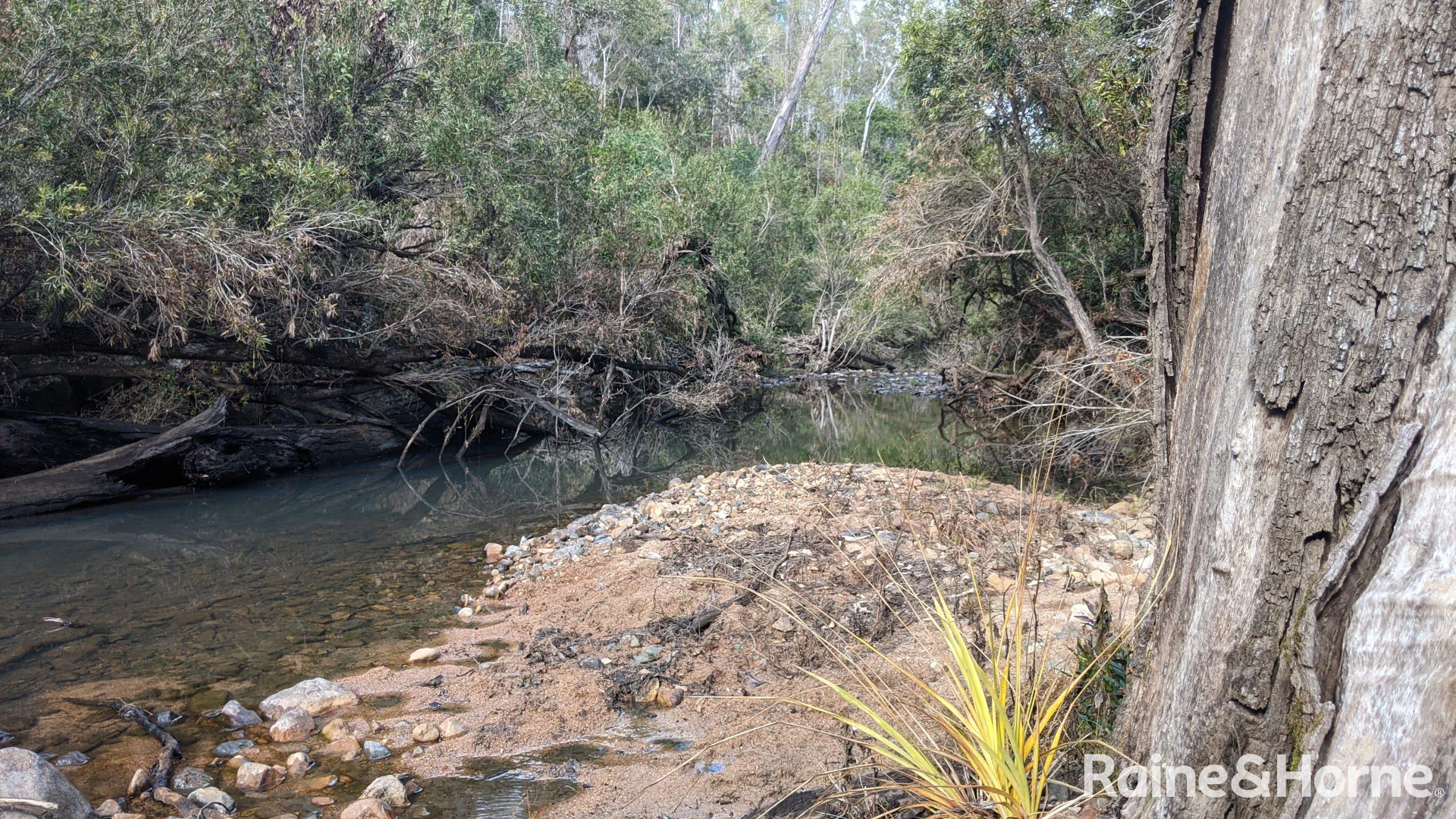 Additional image 18 of Lot 38 Tenningering Road, Good Night QLD 4671