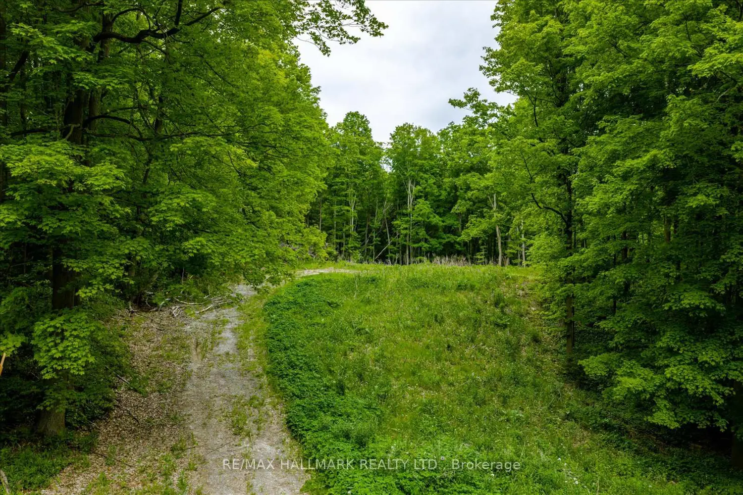 Additional image 12 of 430 Churchill Avenue