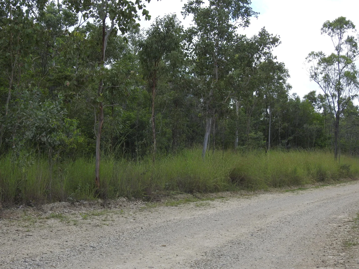 Additional image 12 of LOT 36 Whitsunday Dr, Bloomsbury QLD 4799