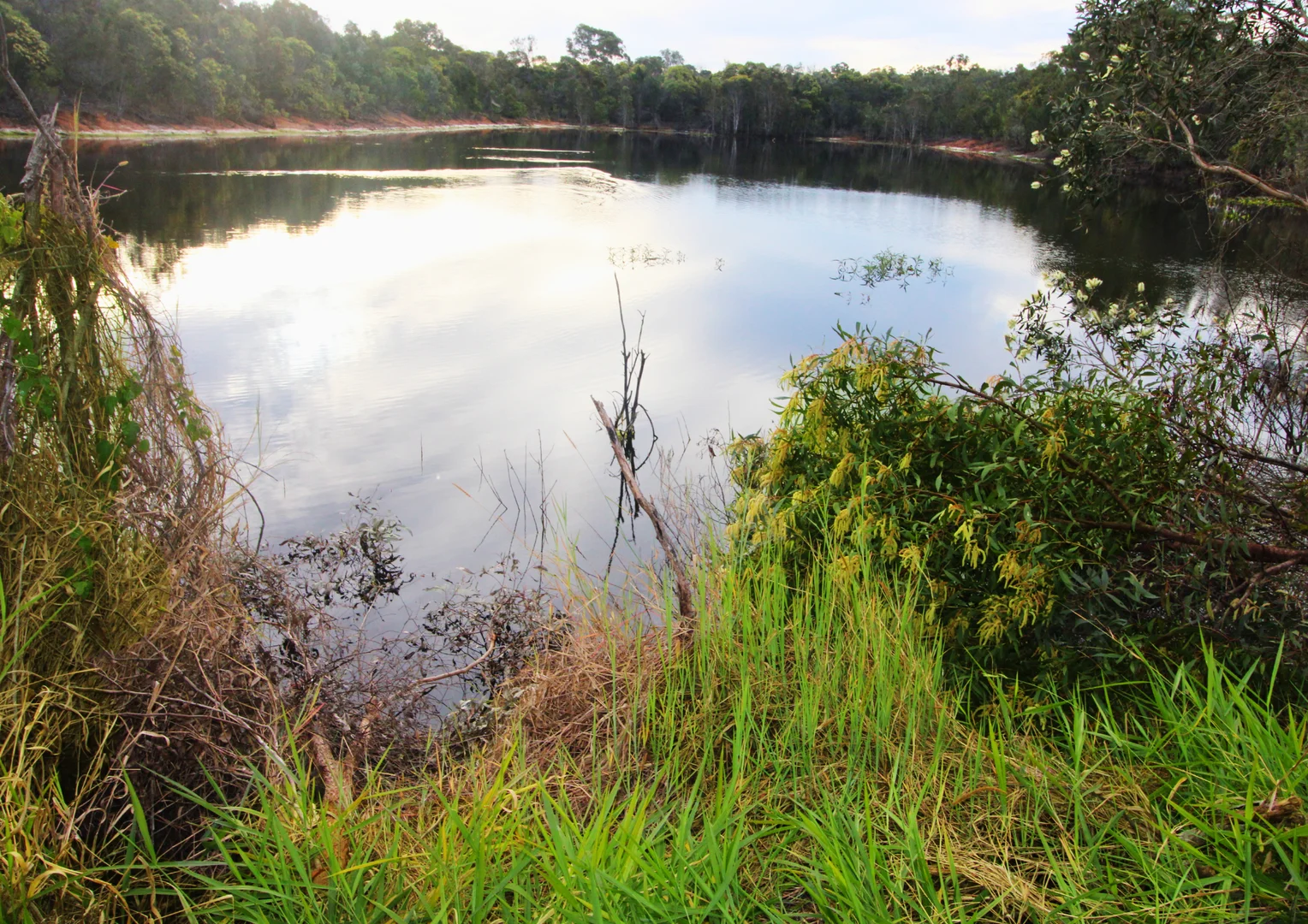 Additional image 6 of 4174 Goodwood Road, Alloway QLD 4670