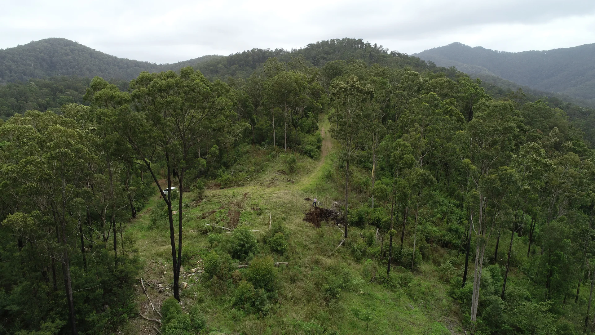 Additional image 5 of 173 Knodingbul Forest Road, Mount George NSW 2424