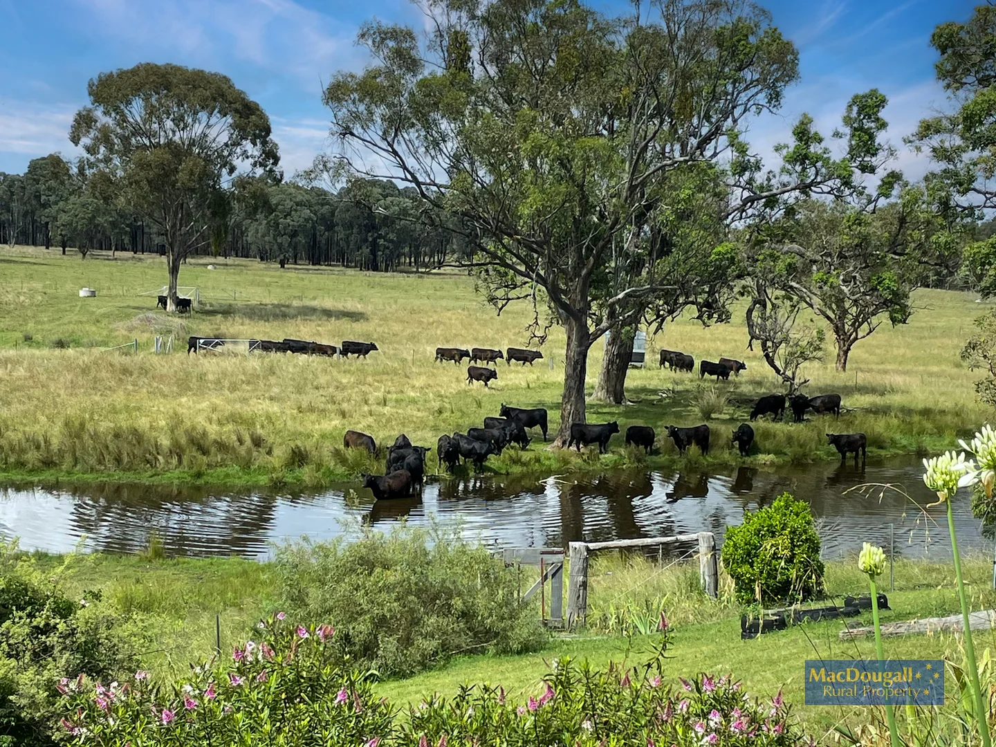 Additional image 3 of 384 Dry Creek Road, Georges Creek NSW 2365