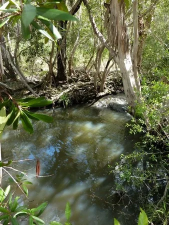 Additional image 5 of Lot 123 Two Chain Road, Koah QLD 4881